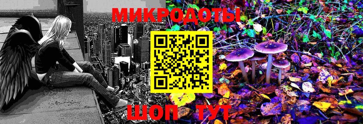 Псилоцибиновые грибы Cubensis Каменск-Уральский
